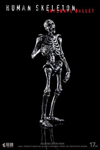 Keepgoing human skeleton - 1/12,